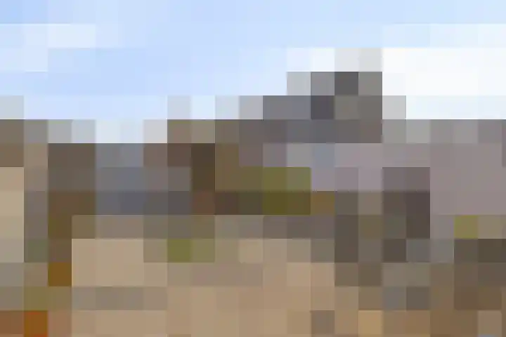 Seringenhof 17 's-Gravenzande thumbnail 34