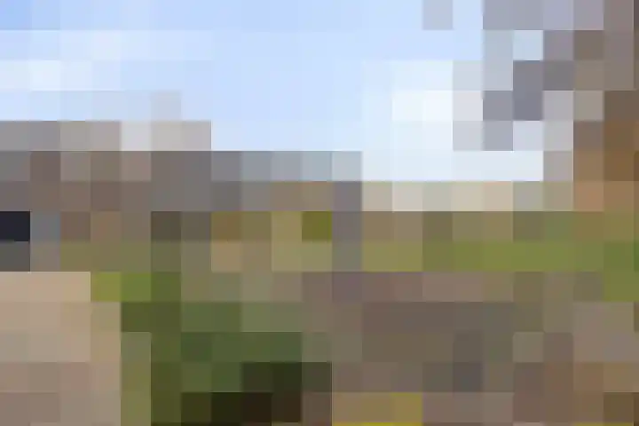 Seringenhof 17 's-Gravenzande thumbnail 36