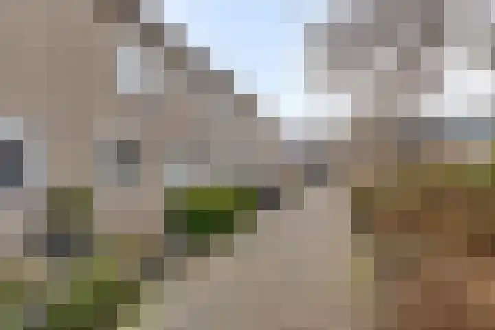 Seringenhof 17 's-Gravenzande thumbnail 6