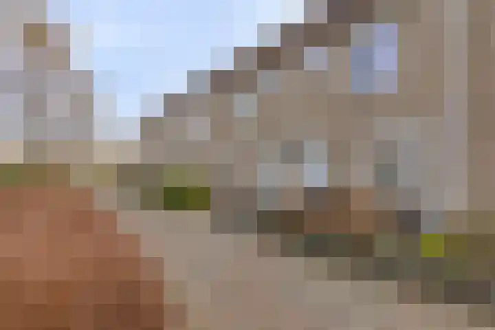 Seringenhof 17 's-Gravenzande thumbnail 7