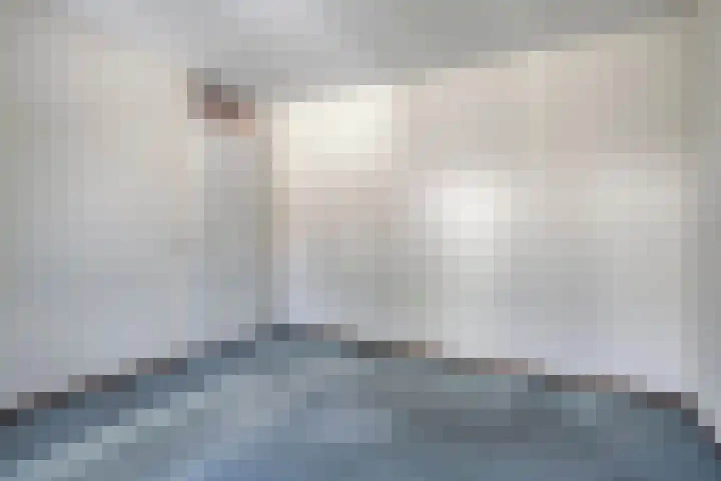 Seringenhof 24 Oss thumbnail 10
