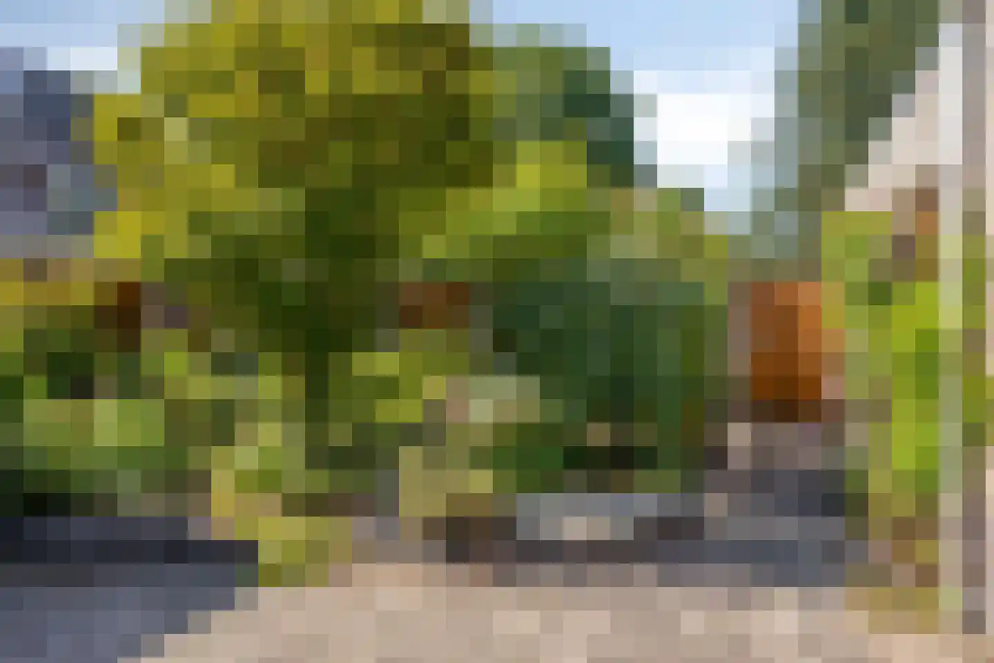 Seringenhof 24 Oss thumbnail 20