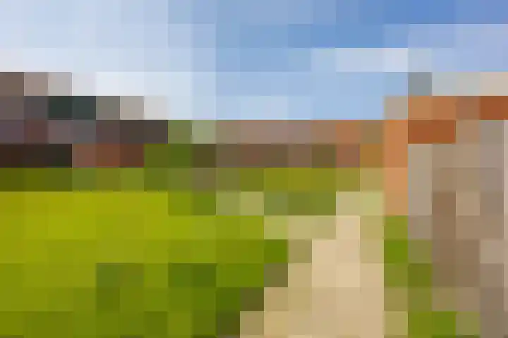 Seringenhof 28 Groningen thumbnail 15