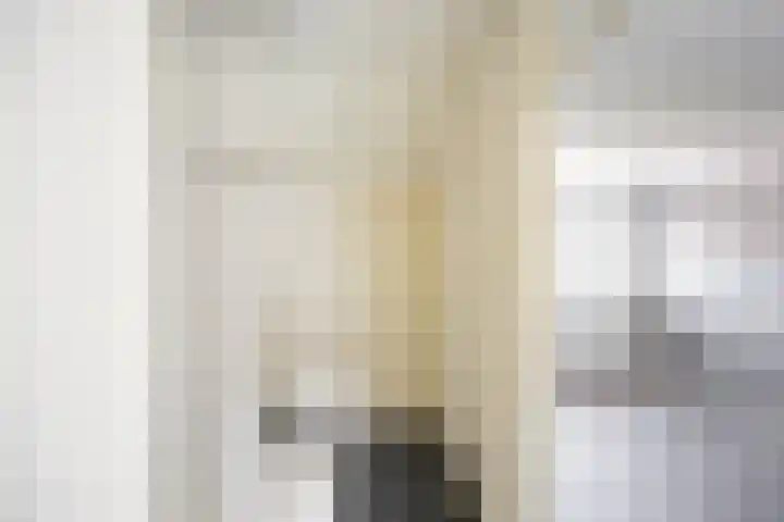 Seringenhof 28 Groningen thumbnail 17