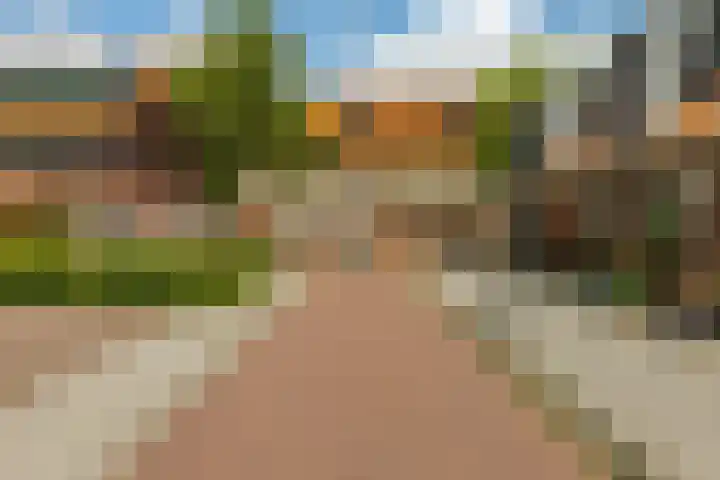 Seringenhof 28 Groningen thumbnail 26