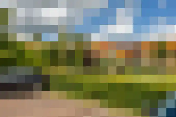 Seringenhof 28 Groningen thumbnail 27