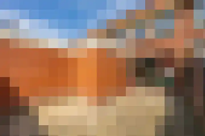 Seringenhof 28 Groningen thumbnail 4