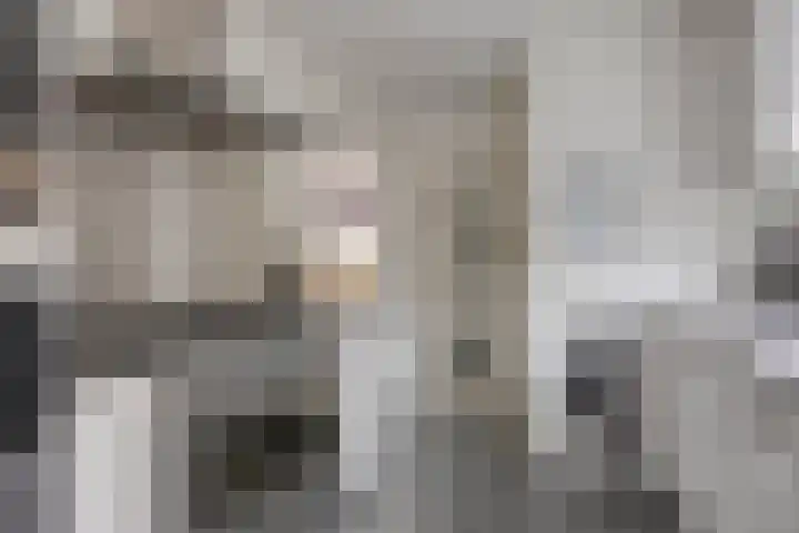 Seringenhof 28 Waalwijk thumbnail 17