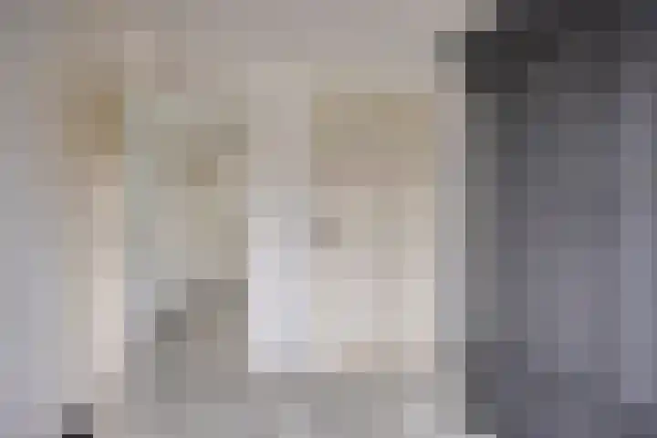 Seringenhof 28 Waalwijk thumbnail 30