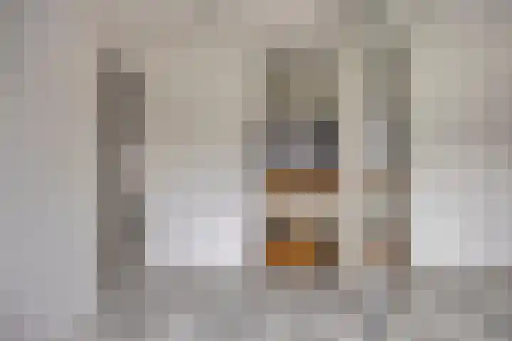 Seringenhof 28 Waalwijk thumbnail 34