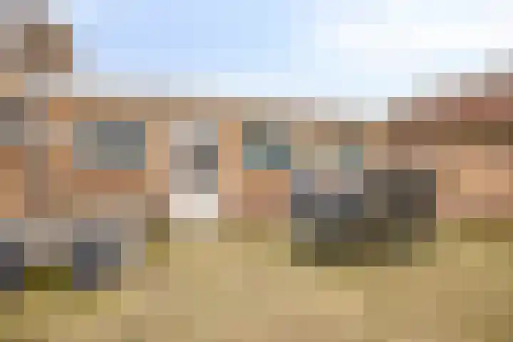 Seringenhof 28 Waalwijk thumbnail 40