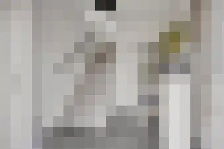 Seringenhof 28 Waalwijk thumbnail 8