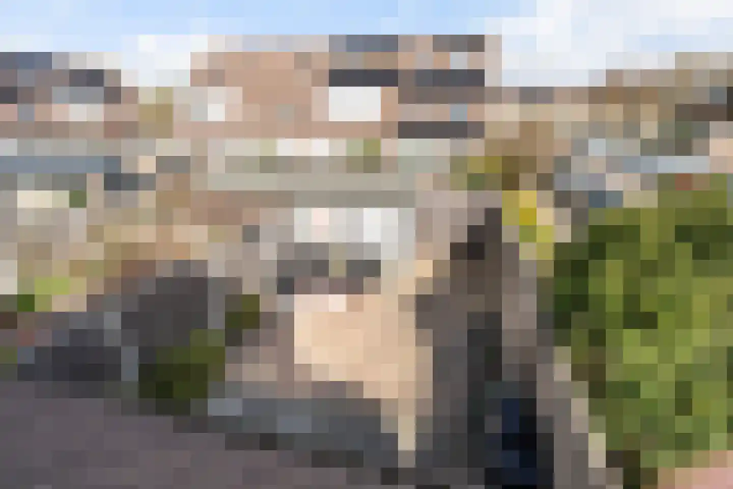 Seringenhof 31 's-Gravenzande thumbnail 24