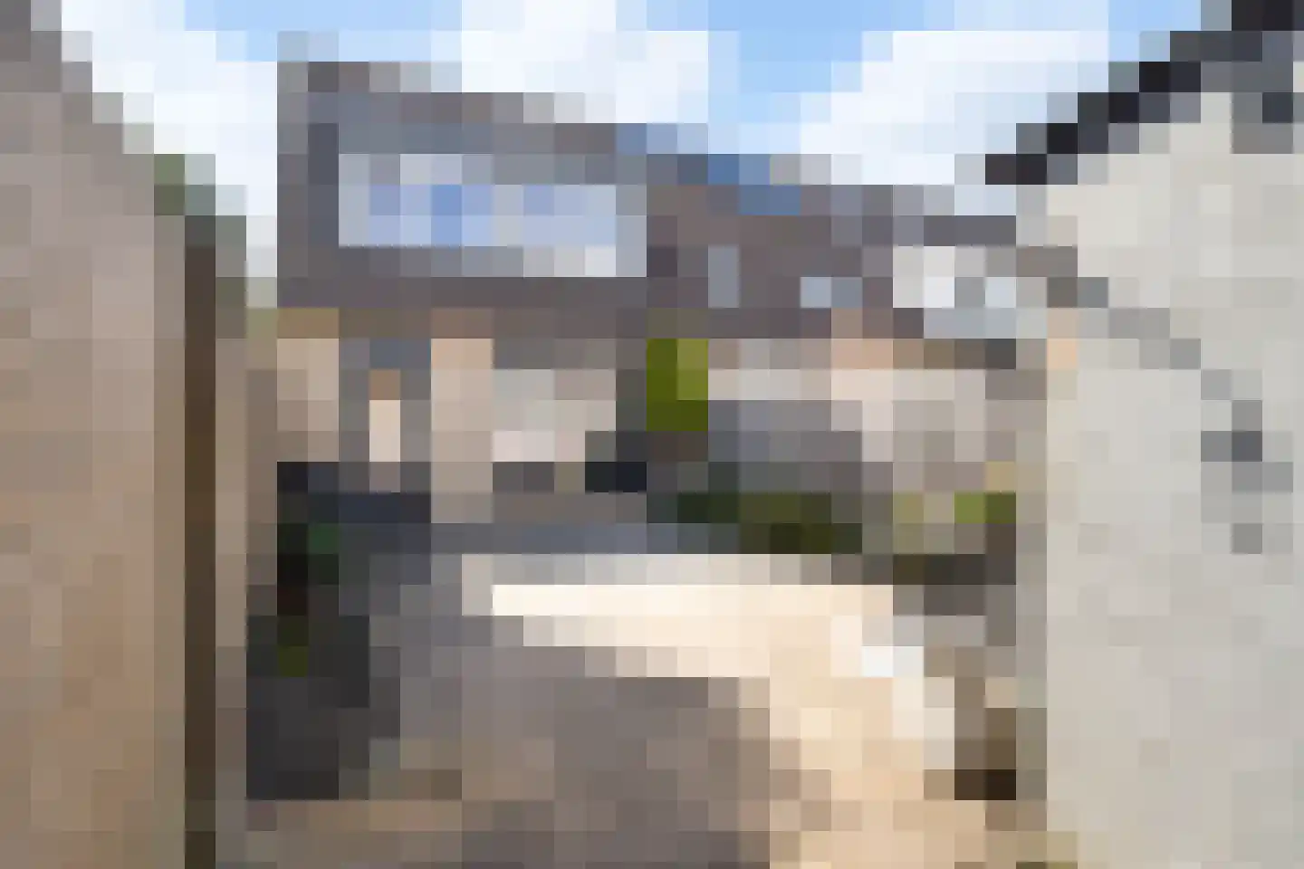 Seringenhof 31 's-Gravenzande thumbnail 25