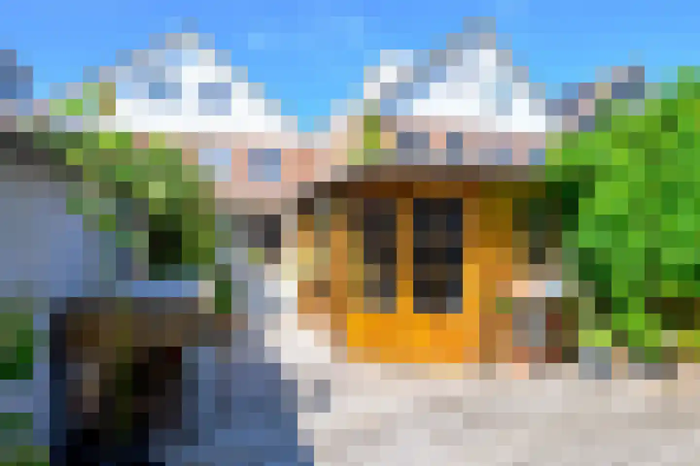 Seringenhof 33 Schagen thumbnail 11