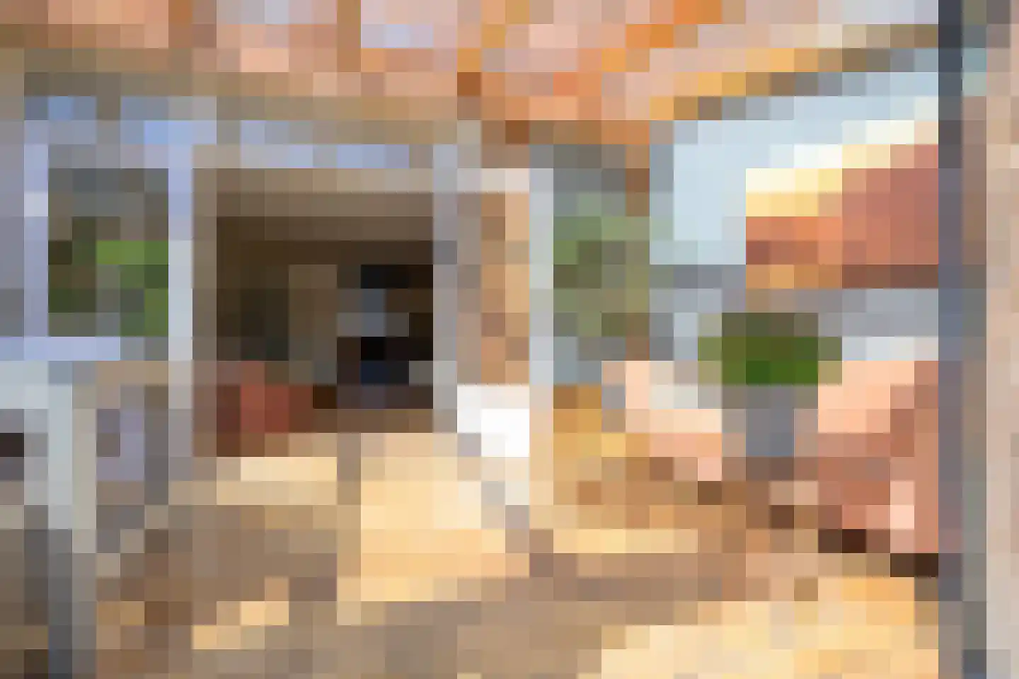 Seringenhof 33 Schagen thumbnail 15