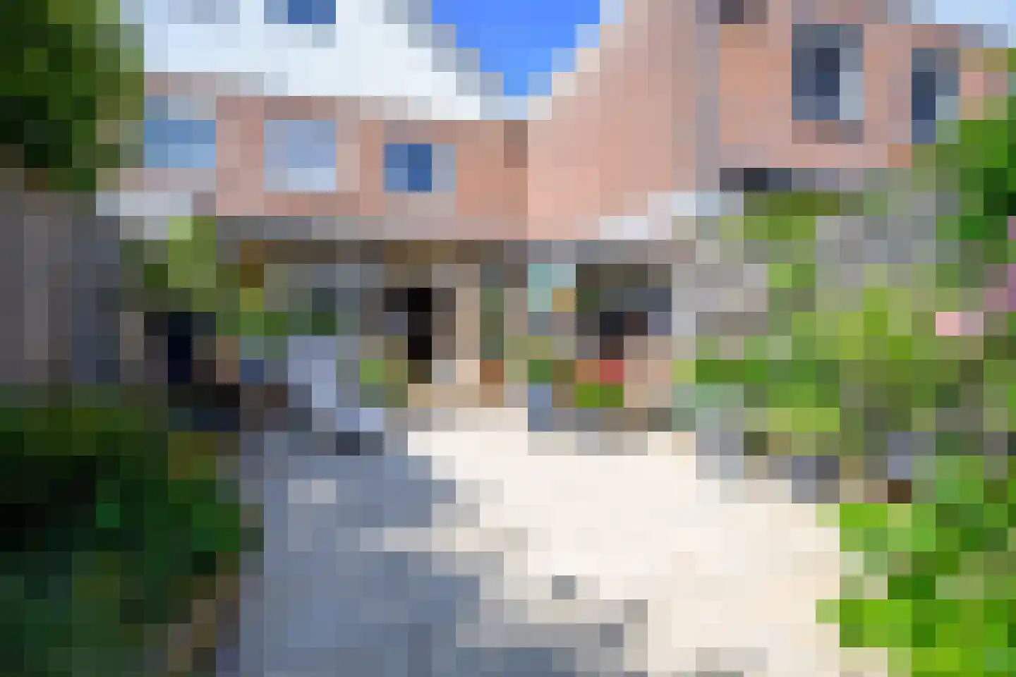 Seringenhof 33 Schagen foto 3