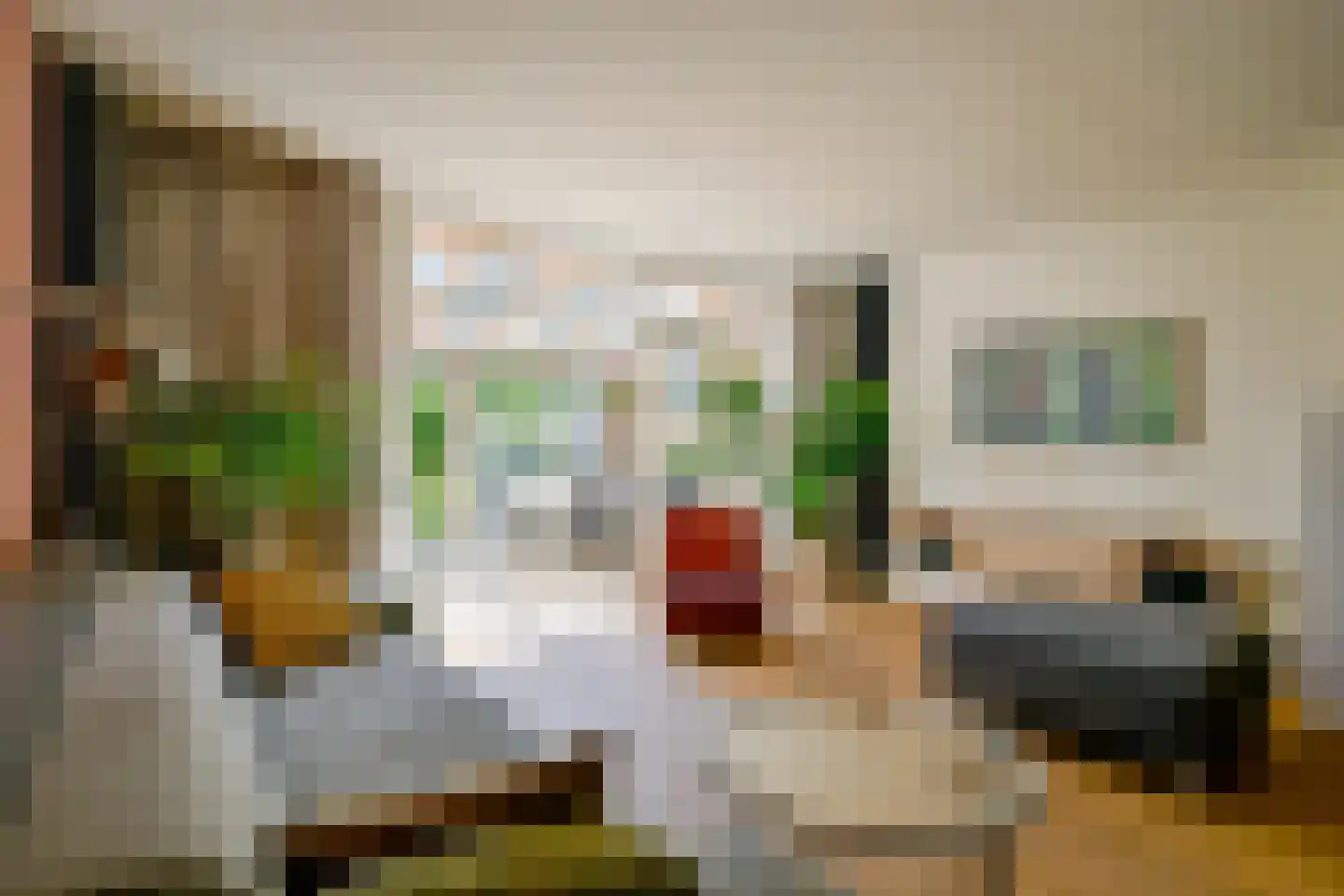 Seringenhof 33 Schagen thumbnail 5