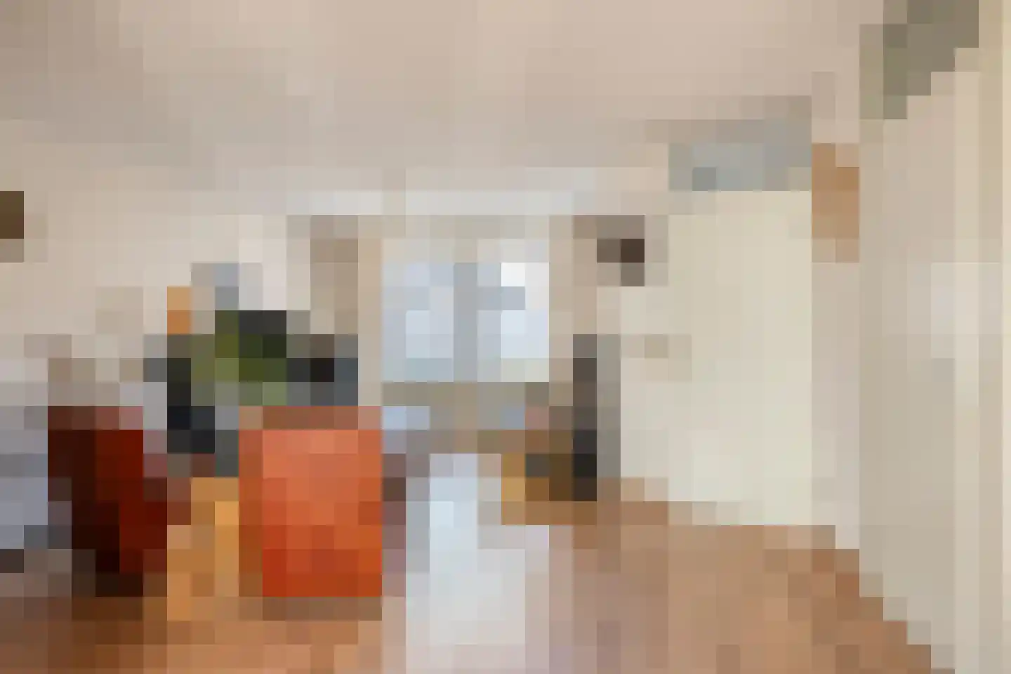 Seringenhof 4 Oss thumbnail 10