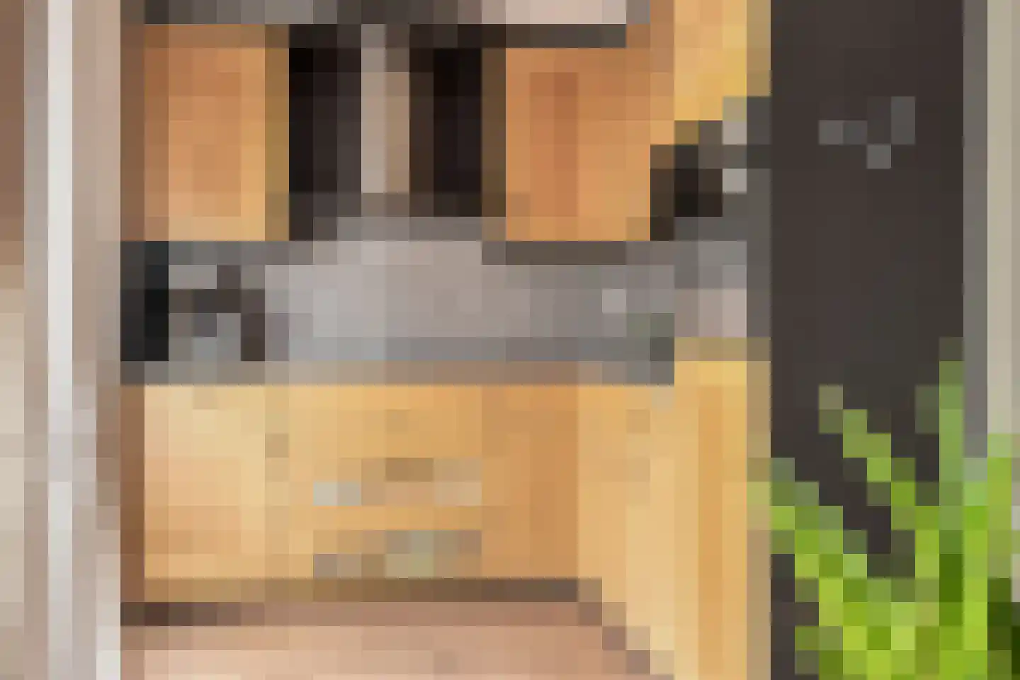 Seringenhof 4 Oss thumbnail 15