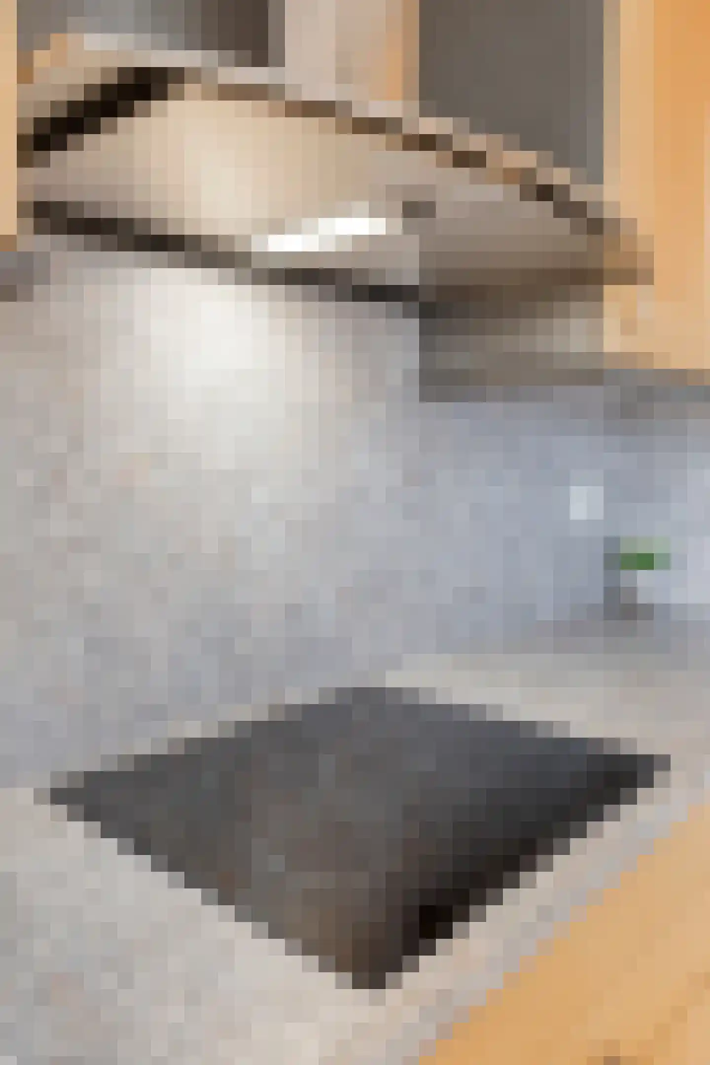 Seringenhof 4 Oss thumbnail 17