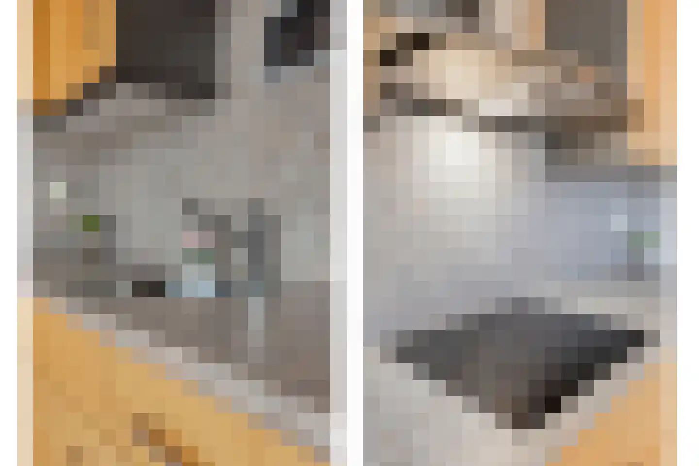 Seringenhof 4 Oss thumbnail 18