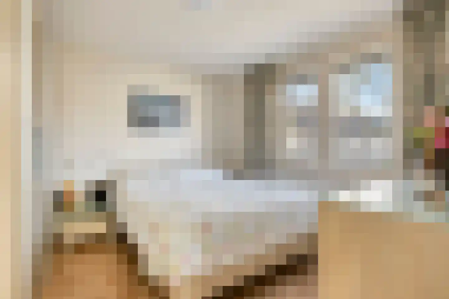 Seringenhof 4 Oss thumbnail 20