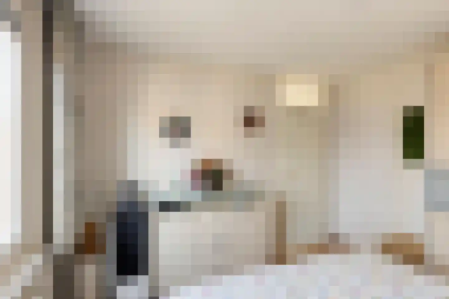 Seringenhof 4 Oss thumbnail 21