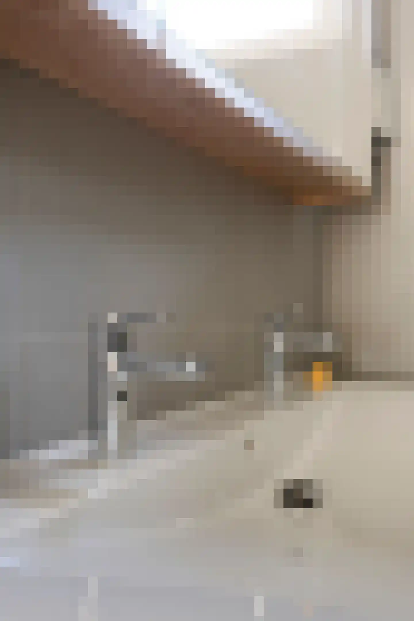 Seringenhof 4 Oss thumbnail 27