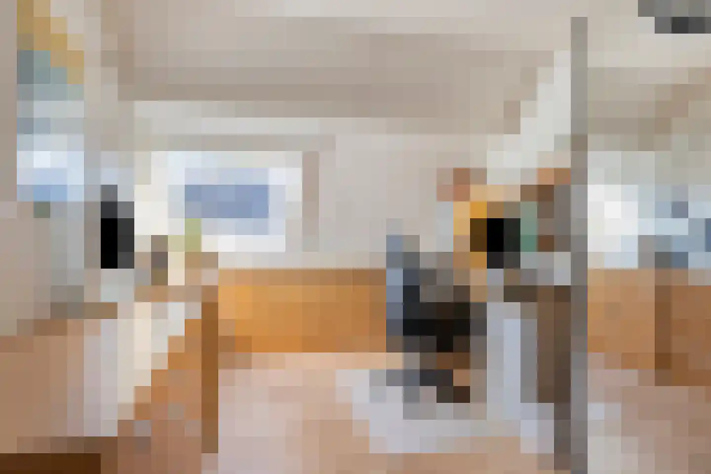 Seringenhof 4 Oss thumbnail 29