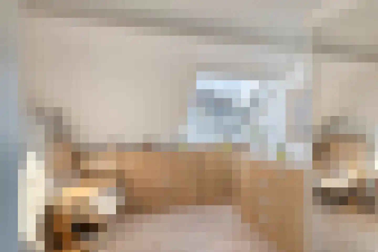 Seringenhof 4 Oss thumbnail 31