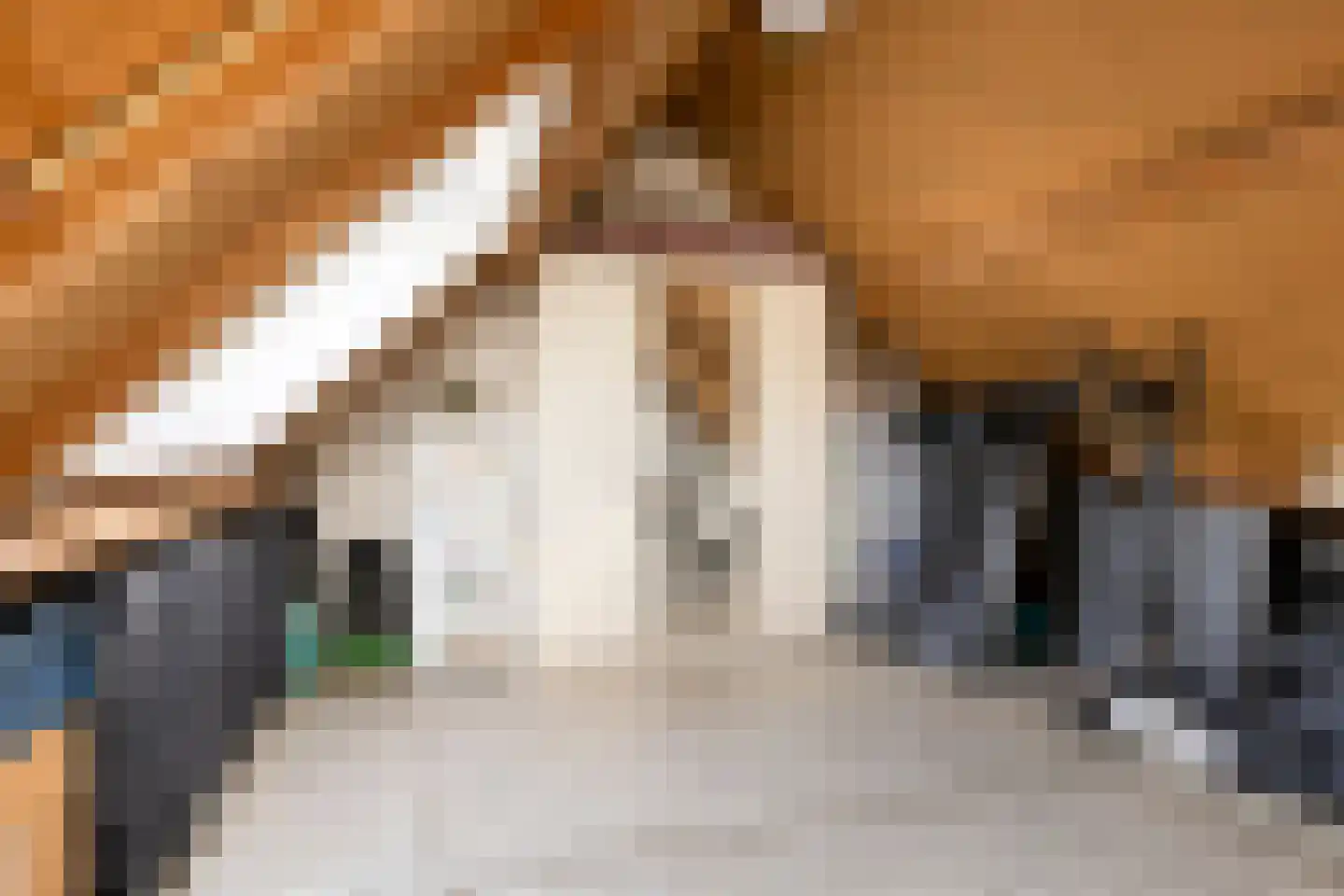 Seringenhof 4 Oss thumbnail 33