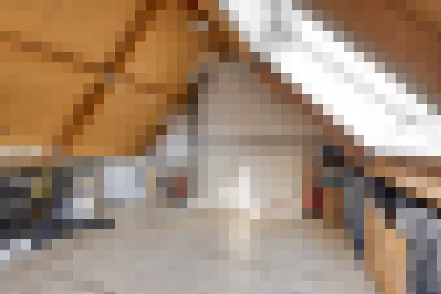 Seringenhof 4 Oss thumbnail 34