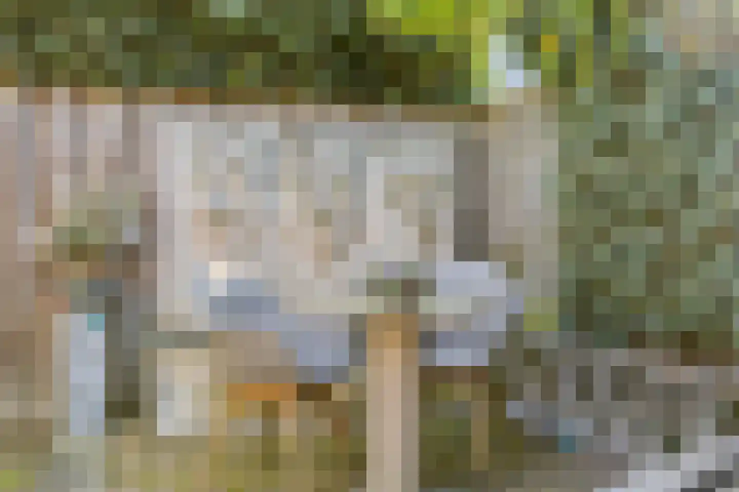 Seringenhof 4 Oss thumbnail 36