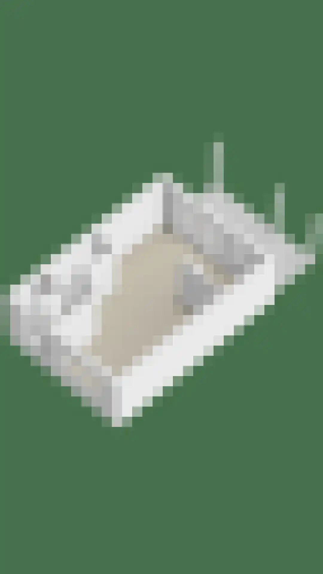 Seringenhof 4 Oss thumbnail 45