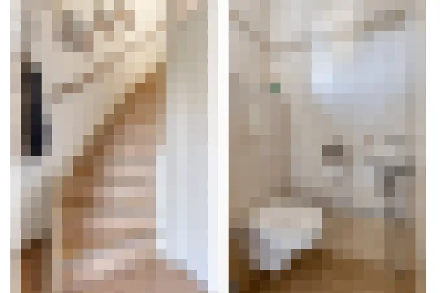 Seringenhof 4 Oss thumbnail 8