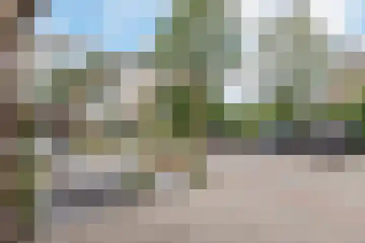 Seringenhof 49 Schagen thumbnail 12