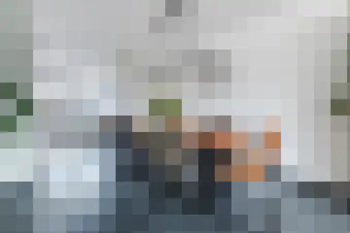 Seringenhof 49 Schagen thumbnail 25