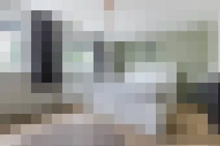 Seringenhof 49 Schagen thumbnail 31