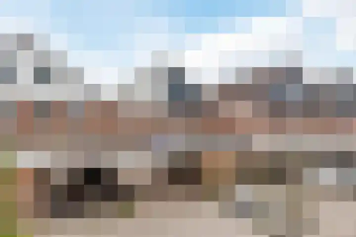 Seringenhof 49 Schagen thumbnail 5
