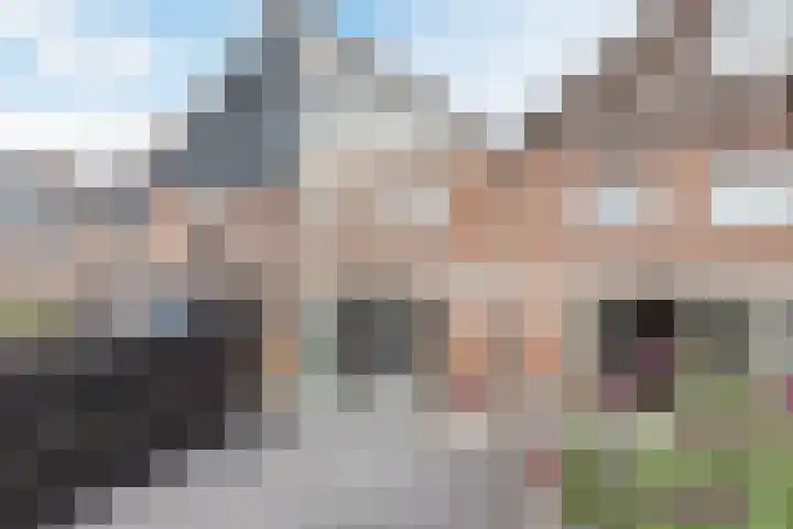 Seringenhof 49 Schagen thumbnail 60