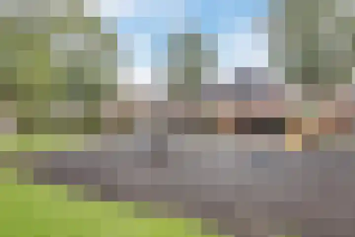 Seringenhof 49 Schagen thumbnail 66