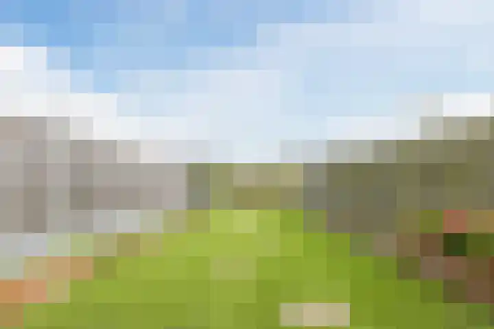 Seringenhof 52 Schagen thumbnail 45