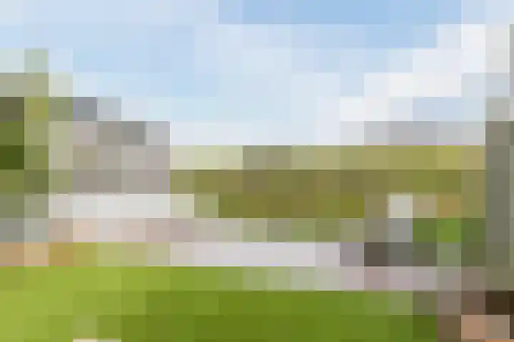 Seringenhof 52 Schagen thumbnail 46
