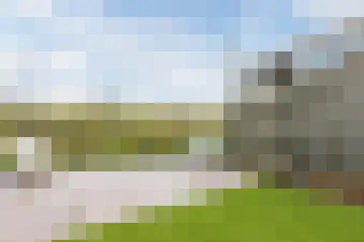 Seringenhof 52 Schagen thumbnail 47