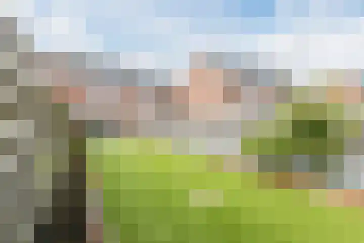 Seringenhof 52 Schagen thumbnail 48