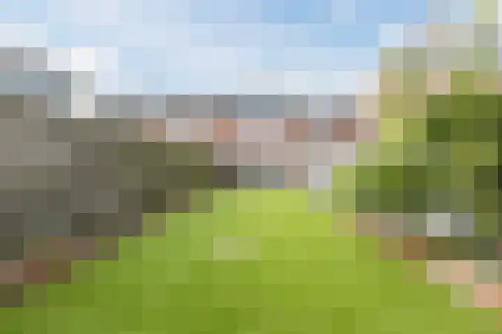 Seringenhof 52 Schagen thumbnail 49
