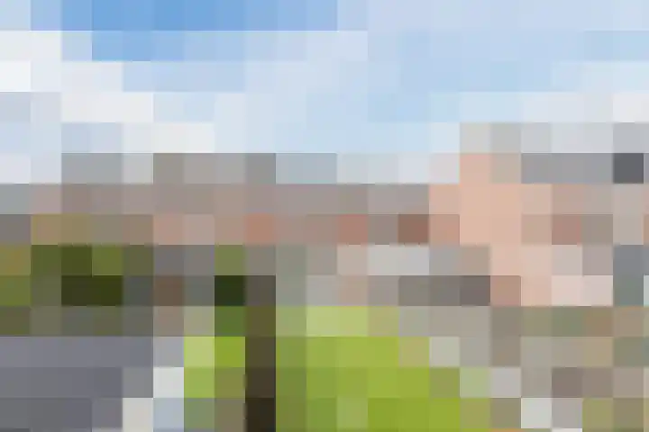 Seringenhof 52 Schagen thumbnail 50