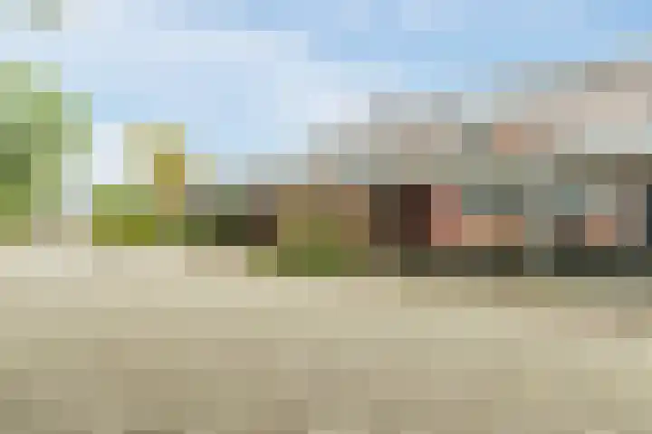 Seringenhof 52 Schagen thumbnail 53
