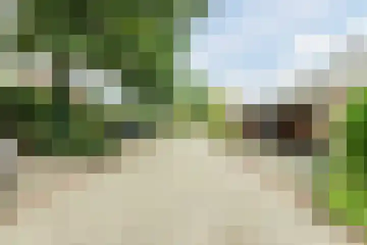 Seringenhof 52 Schagen thumbnail 54